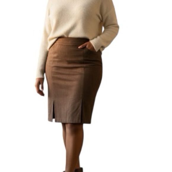 Nina Leonard Dresses & Skirts - NWOT Nina Leonard Women’s Size 16 Chic Brown Skirt